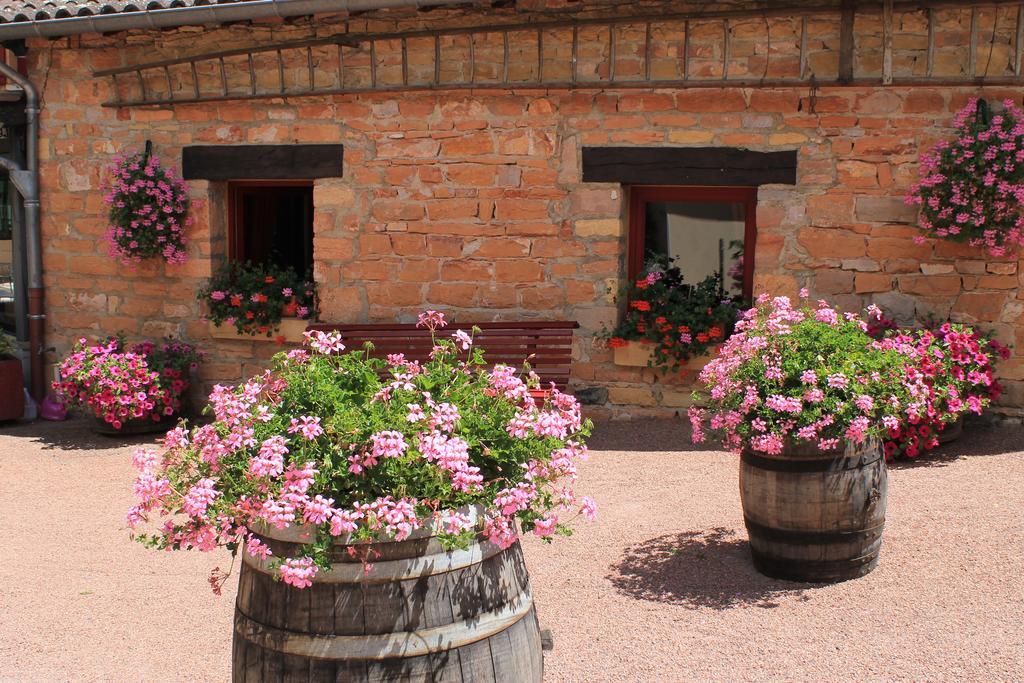 Hotel Restaurant Le Moulin De Saint Verand Kültér fotó