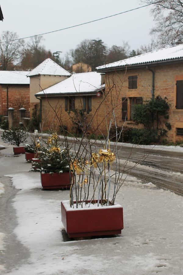 Hotel Restaurant Le Moulin De Saint Verand Kültér fotó